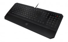 Tastatura Gaming Razer Deathstalker Essential 2014 foto