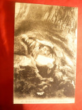 Ilustrata - Om adapostit in scorbura unui copac -circ. 1912 Franta