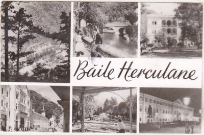 bnk cp Baile Herculane - Vedere - circulata foto