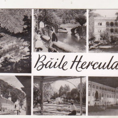 bnk cp Baile Herculane - Vedere - uzata