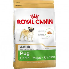 Royal Canin Pug (Mops) Adult, 1.5 kg foto