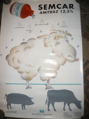 Plansa- Afis - Reclama la Insecticid Semcar Amitraz pt.animale ,firma Smithkline foto