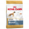 Royal Canin Boxer Adult, 12kg