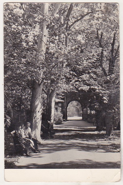 bnk cp Buzias - Vedere din parc - circulata
