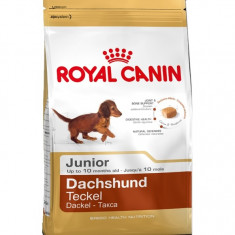 Royal Canin Dachshund (Teckel) Junior, 1.5 kg foto