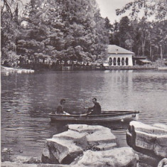 bnk cp Craiova - Vedere din Parcul poporului - circulata