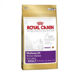 Royal Canin Bichon Maltese Adult, 1.5 kg foto