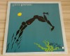 LP Steve Winwood (Traffic, Blind Faith) - Arc of a diver