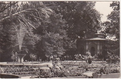 bnk cp Buzias - Vedere din parc - circulata foto