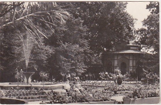 bnk cp Buzias - Vedere din parc - circulata