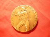 Placheta 50 Ani Organizatia Internationala a Muncii 1919-1969 , bronz ,d= 6 cm, Europa