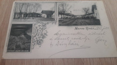 Ocna Mures,Alba 1903 mozaic floral,imagine multipla cp ilustrata foto