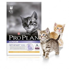 Pro Plan Junior (Kitten) Pui si Orez 1.5 kg foto