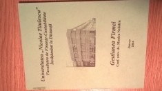 Gestiunea firmei - Monica Nedelcu (Editura Dareco, 2004)