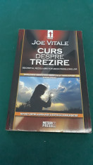 CURS DESPRE TREZIRE*SECRETUL REZOLVARII TUTUROR PROBLEMELOR/ JOE VITALE/ 2011 foto