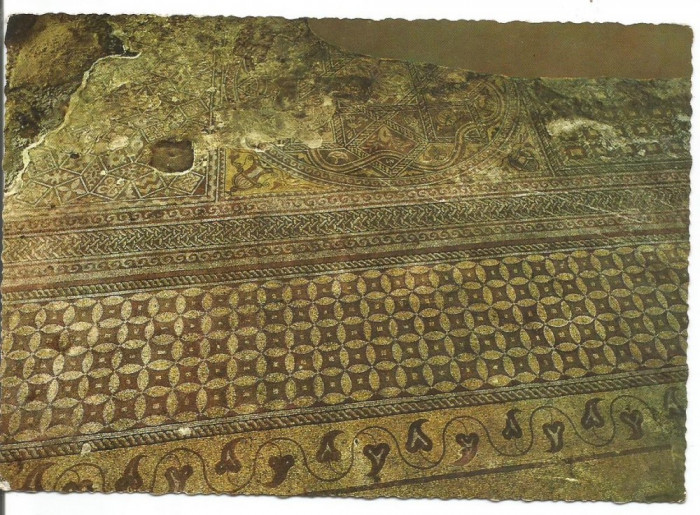 (A) carte postala(1135/10)-KRUGER-Constanta-Mozaic antic roman