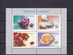 ROMANIA 2004 LP 1661 a TRANDAFIRI ROMANESTI SERIA IN BLOC MNH foto