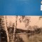 PROKOFIEV - SYMPHONY No 6 (5289-56/URSS/anii &#039;50) - VINIL - RAR