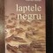 LAPTELE NEGRU -NORMAN MANEA