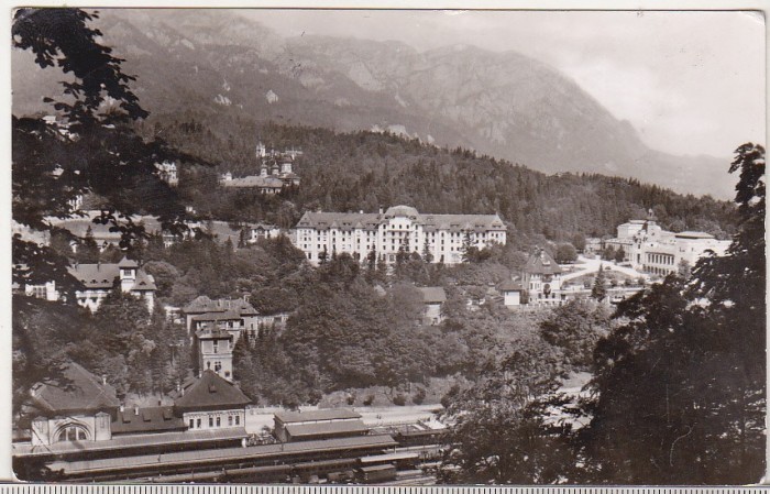 bnk cp Sinaia - Vedere spre muntii Bucegi - circulata