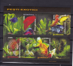 ROMANIA 2005 1676 c PESTI EXOTICI BLOC MNH foto