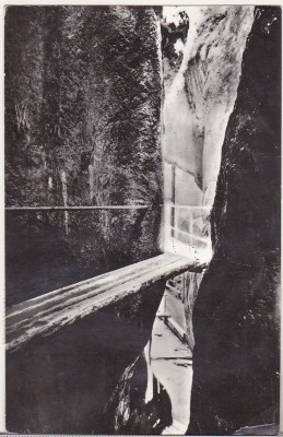bnk cp Spre Piatra Mare prin Sapte Scari - Vedere - circulata foto