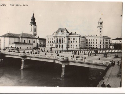 CPI B 10320 CARTE POSTALA - ORADEA. POD PESTE CRIS, RPR foto