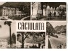 CPI B 10318 CARTE POSTALA - CACIULATA, MOZIC, RPR, Circulata, Fotografie