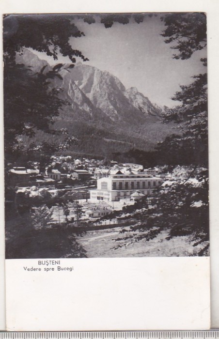 bnk cp Busteni - Vedere spre Bucegi - uzata