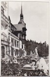 bnk cp Sinaia - Muzeul Peles - circulata