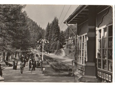 CPI B 10358 - CARTE POSTALA - SLANIC MOLDOVA. VEDERE DIN PARC, RPR foto