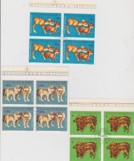 FAUNA/1972 foto