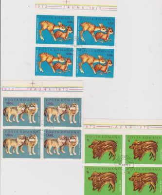 FAUNA/1972 foto