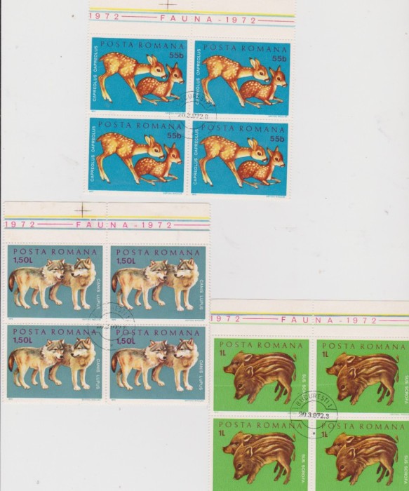 FAUNA/1972