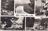 bnk cp Sinaia - Vedere - circulata