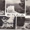 bnk cp Sinaia - Vedere - circulata