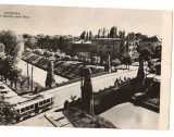 CPI B 10326 CARTE POSTALA - TIMISOARA. PODUL DECEBAL PESTE BEGA, RPR, Circulata, Fotografie