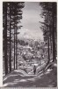 Bnk cp Sinaia - Vedere spre Piscul Cainelui - circulata, Printata