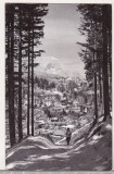 bnk cp Sinaia - Vedere spre Piscul Cainelui - circulata