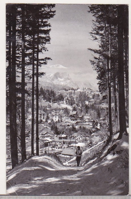 bnk cp Sinaia - Vedere spre Piscul Cainelui - circulata