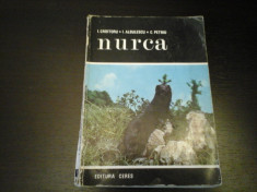 Nurca - Croitoru, Albulescu si Petriu, Editura Ceres, 1970, 247 pag foto