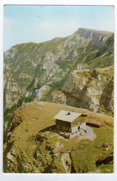 CABANA CARAIMAN MUNTII BUCEGI RPR COLOR