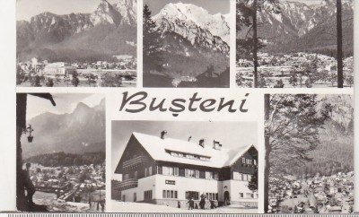 bnk cp Busteni - Vedere - circulata foto