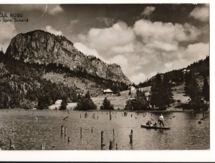 CPI B 10344 - CARTE POSTALA - LACUL ROSU. VEDERE SPRE SUHARD, RPR