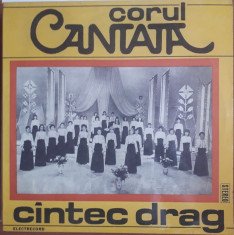 Corul Cantata Cantec Drag foto