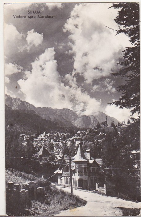 bnk cp Sinaia - Vedere spre Caraiman - uzata