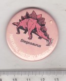 bnk ins Insigna tematica fauna - dinozauri - Stegosaurus