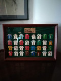 32 de insigne de la Campionatul Mondial de Fotbal Korea-Japan 2002, in caseta