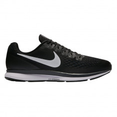 Air Zoom Pegasus 34 foto