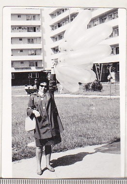 bnk foto - Ploiesti - Vedere spre blocurile de pe str Jianu 1967 foto